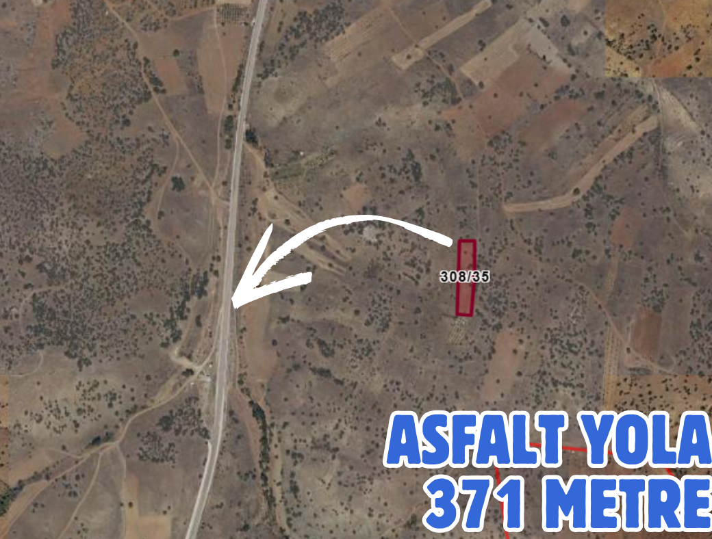 KONYA GÜNEYSINIR MEHMETALİ 2.960 M² TARLA SATILIKTIR - KONYA GÜNEYSINIR fotoğraf 3